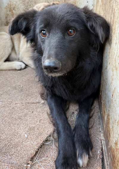 Иркутск 795/25