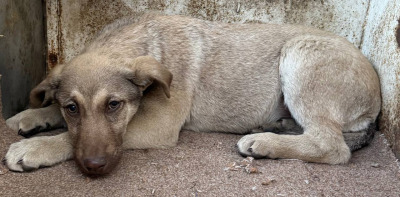 Иркутск 800/25