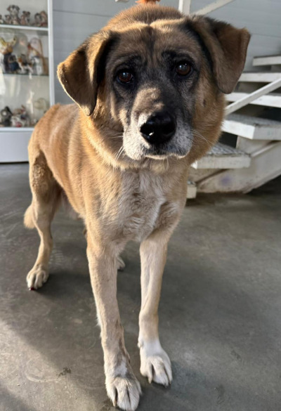 Иркутск 802/25