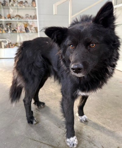 Иркутск 807/25