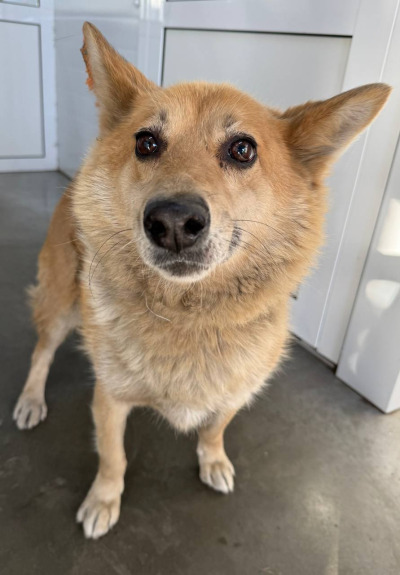 Иркутск 863\25