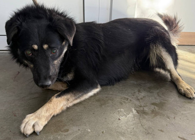 Иркутск 864\25