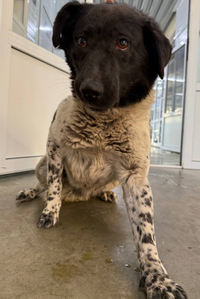 Иркутск 865\25