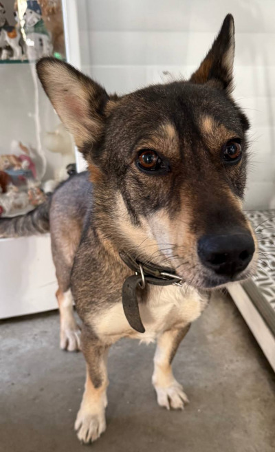 Иркутск 866\25