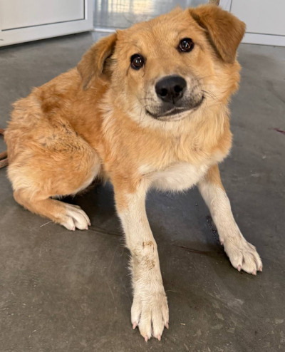 Иркутск 867\25