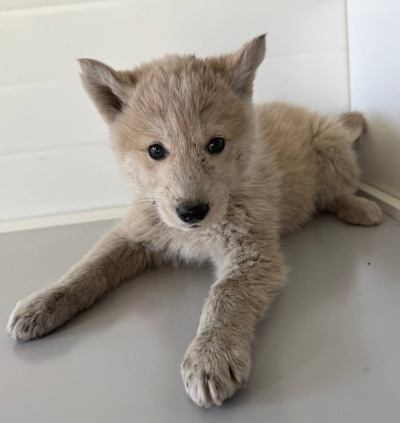 Иркутск 869\25