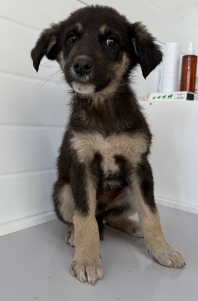 Иркутск 906/25