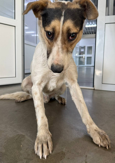 Иркутск 907/25