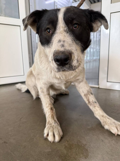 Иркутск 909/25