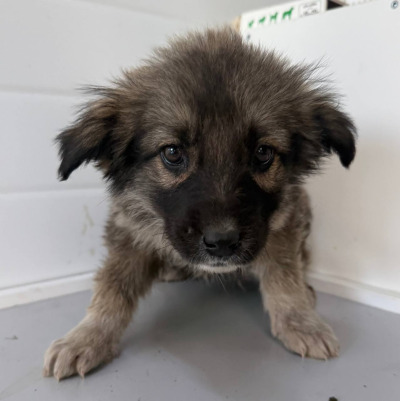 Иркутск 912/25