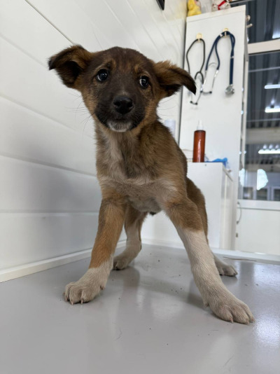 Иркутск 913/25