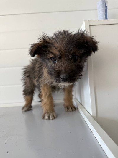 Иркутск 914/25