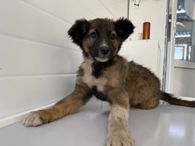 Иркутск 919/25