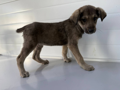 Иркутск 920/25