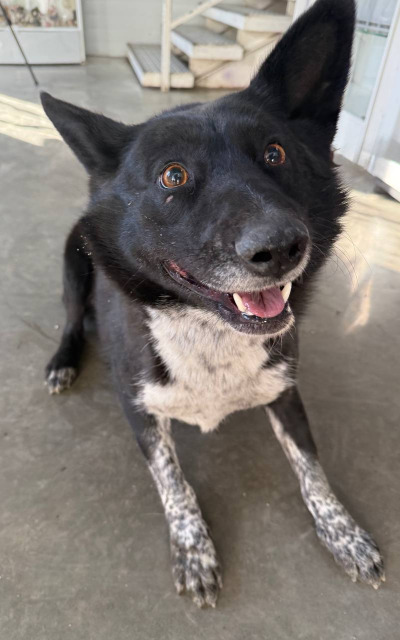 Иркутск 921/25