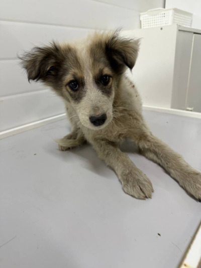 Иркутск 922/25