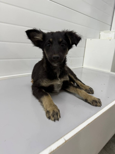 Иркутск 923/25