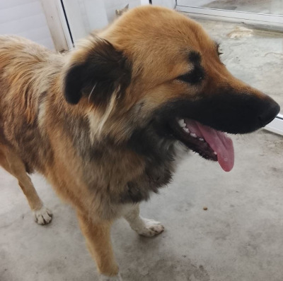 Иркутск 928/25