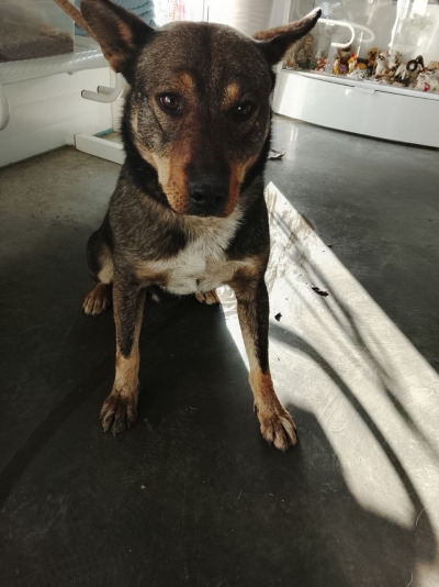 Иркутск 931/25