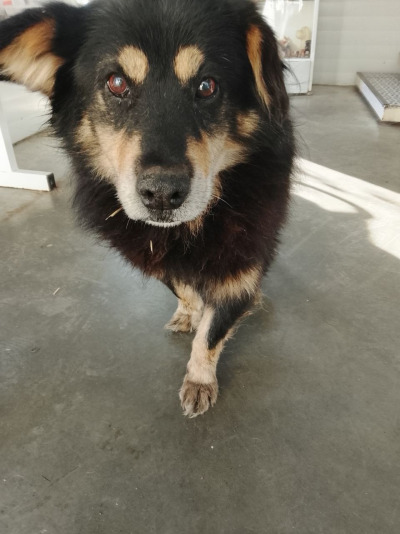 Иркутск 932/25