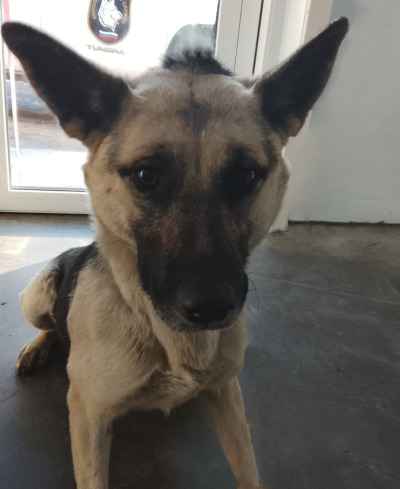 Иркутск 934/25