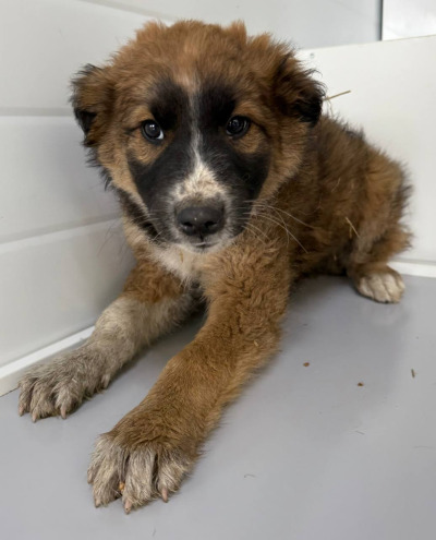 Иркутск 938/25