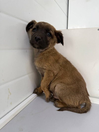 Иркутск 941/25