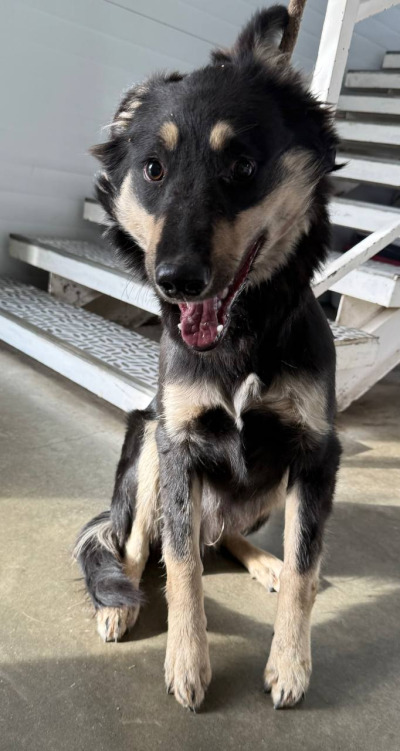 Иркутск 945/25