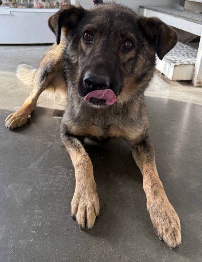 Иркутск 946/25