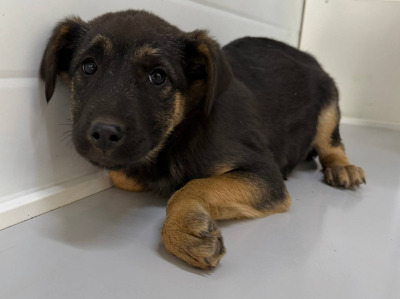 Иркутск 949/25