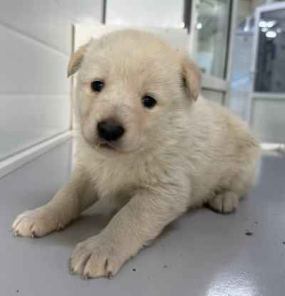 Иркутск 953/25