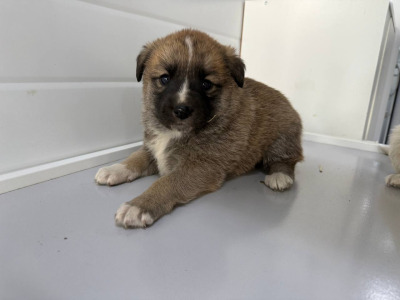 Иркутск 954/25