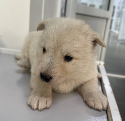 Иркутск 955/25