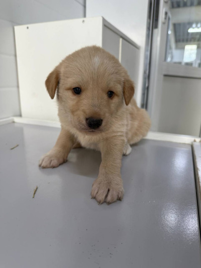 Иркутск 956/25