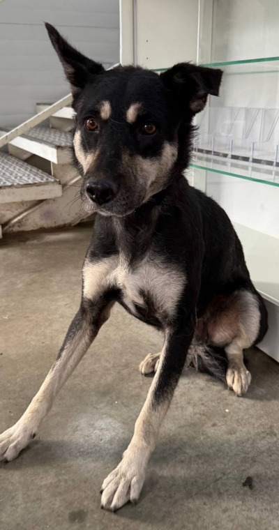 Иркутск 961/25