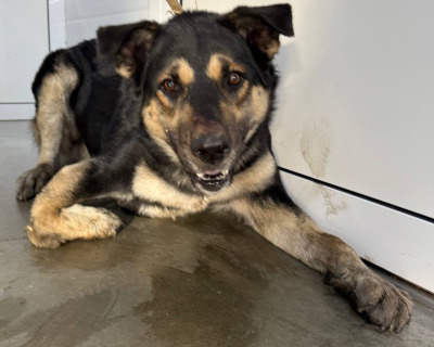 Иркутск 966/25