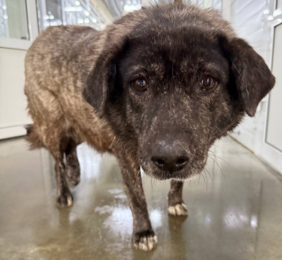 Иркутск 967/25