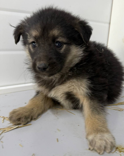 Иркутск 972/25