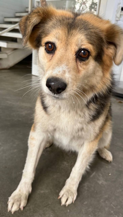 Иркутск 982/25