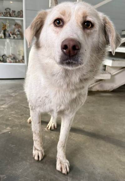 Иркутск 985/25