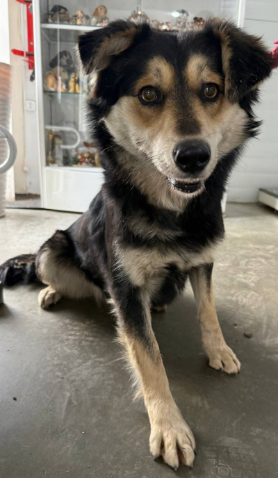 Иркутск 987/25