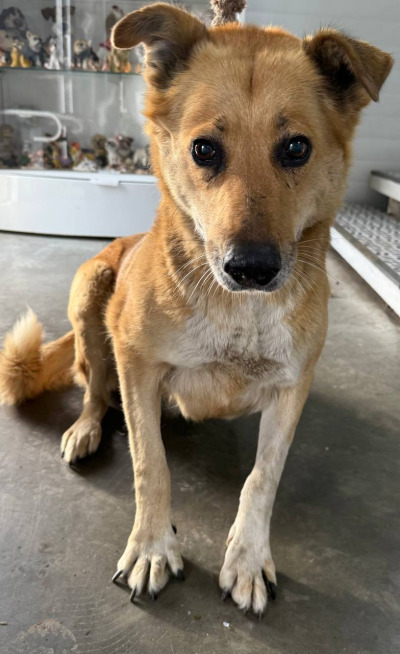 Иркутск 989/25