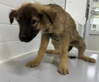 Иркутск 994/25