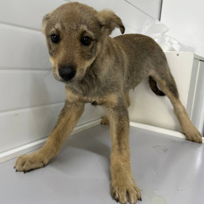 Иркутск 995/25