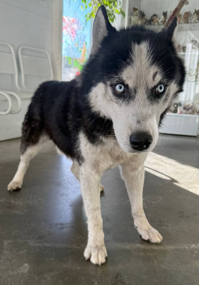 Иркутск 997/24