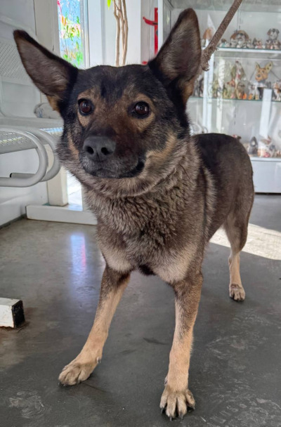 Иркутск 998/24