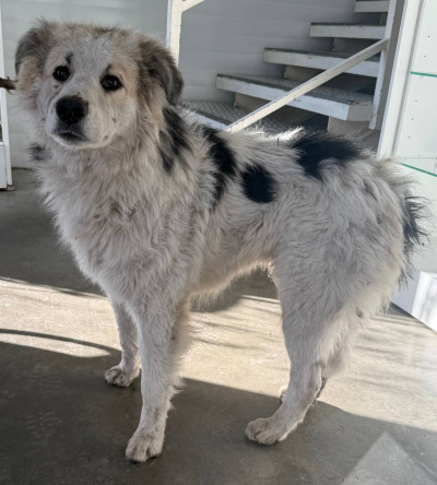 Иркутск 999/24