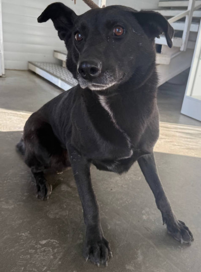 Иркутск 1000/24