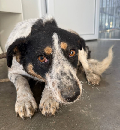 Иркутск 1001/24