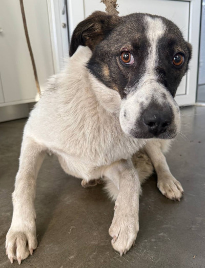 Иркутск 1002/24